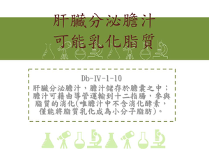 肝臟分泌膽汁，膽汁儲存於膽囊之中；膽汁可藉由導管運輸到十二指腸，參與脂質的消化[唯膽汁中不含消化酵素，僅能將脂質乳化成為小分子脂肪]