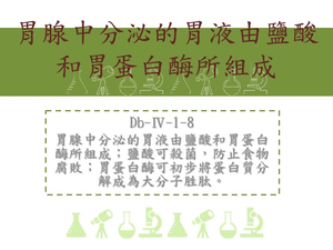 胃腺中分泌的胃液由鹽酸和胃蛋白酶所組成；鹽酸可殺菌，防止食物腐敗；胃蛋白酶可初步將蛋白質分解成為大分子胜肽