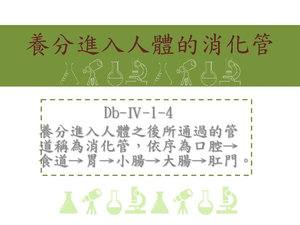 養分進入人體之後所通過的管道稱為消化管，依序為口腔食道胃小腸大腸肛門