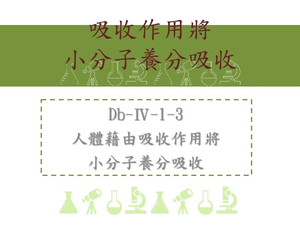 人體藉由吸收作用將小分子養分