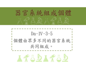 個體由眾多不同的器官系統共同組成