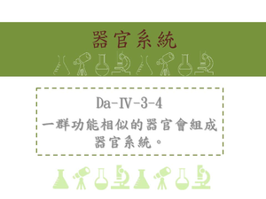一群功能相似的器官會組成器官系統