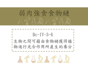 生物之間可藉由食物鏈獲得植物進行光合作用所產生的養分