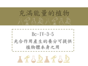 光合作用產生的養分可提供植物體本身之用