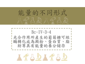 光合作用所產生的葡萄糖可經酶轉化成為澱粉、蛋白質、脂肪等具有能量的養分儲存