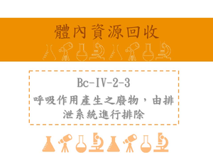 呼吸作用產生之廢物，由排泄系統進行排除