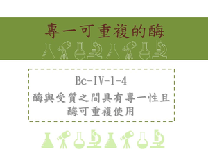 酶與受質之間具有專一性與酶可重複使用
