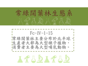 常綠闊葉林。