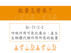 呼吸作用可氧化養分，產生生物體代謝作用所需的能量。