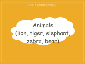 動物-Animals -lion, tiger, elephant, zebra, bear-資源代表圖