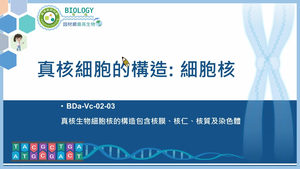 BDa-Vc-02-03_真核細胞的構造 細胞核