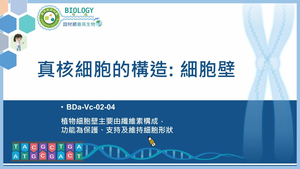 BDa-Vc-02-04_真核細胞的構造 細胞壁