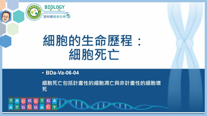 BDa-Va-06-04_細胞的生命歷程：細胞死亡