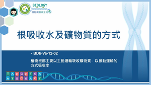 BDb-Va-12-02_根吸收水及礦物質的方式