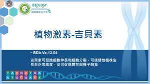 BDb-Va-13-04_植物激素-吉貝素