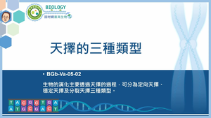 BGb-Va-05-02_天擇的三種類型