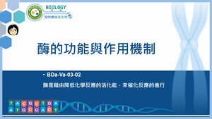 BDa-Va-03-02_酶的功能與作用機制