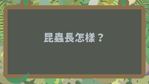 INb-Ⅱ-4-06_昆蟲的外部形態-資源代表圖