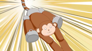 身體組成遇見體適能