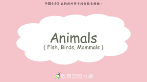9-Ⅲ-1-05-03 動物-Animals (Fish, Birds, Mammals)