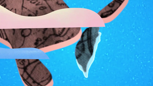 看見自然EP164：八下 認識界面活性劑-資源代表圖