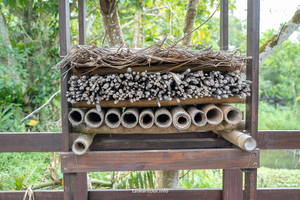 觸屏-馬太鞍的巴拉告-資源代表圖