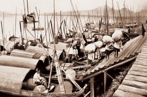 清帝國時期臺灣三寶─茶、糖、樟腦-資源代表圖