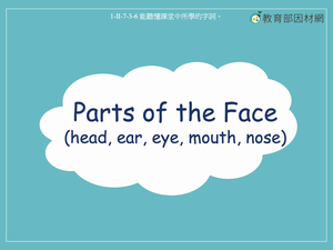 身體部位-Parts of the Face (head, ear, eye, mouth, nose)-資源代表圖
