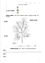 飛翔的舞者-資源代表圖