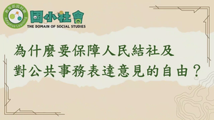 為什麼要保障人民結社及對公共事務表達意見的自由？-資源代表圖