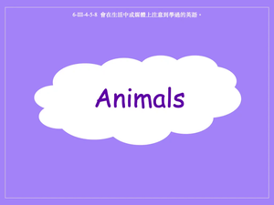 動物-Animals (panda, hippopotamus, snake, turtle, giraffe, penguin)縮圖