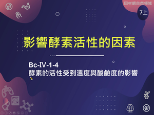 Bc-Ⅳ-1-S04-資源代表圖
