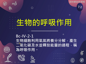 Bc-Ⅳ-2-S01-資源代表圖