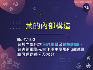Bc-Ⅳ-3-S02-資源代表圖