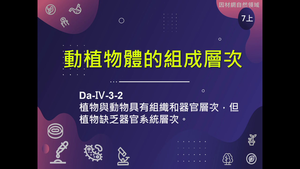 Da-Ⅳ-3-S02-資源代表圖