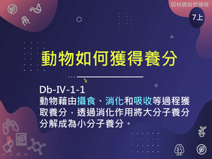 Db-Ⅳ-1-S01縮圖