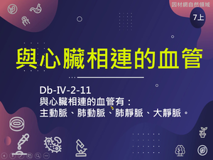 Db-Ⅳ-2-S11-資源代表圖