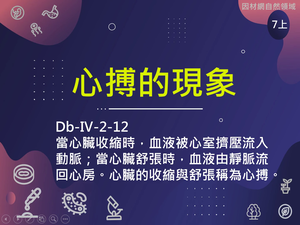 Db-Ⅳ-2-S12-資源代表圖