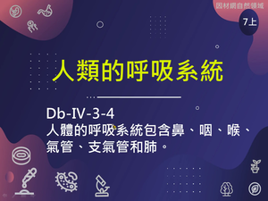 Db-Ⅳ-3-S04-資源代表圖