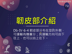 Db-Ⅳ-6-S04-資源代表圖