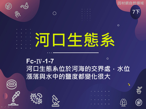 Fc-Ⅳ-1-S07-資源代表圖