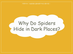 動物-Why Do Spiders Hide in Dark Places?縮圖