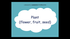 Plant (flower, fruit, seed)-資源代表圖