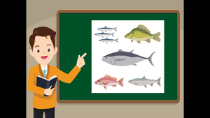 The Fish Group縮圖