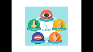 Five Senses-資源代表圖