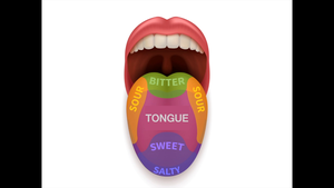 Tongue Map-資源代表圖