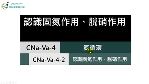 CNa-Va-4-2 固氮作用、脫硝作用.mp4縮圖