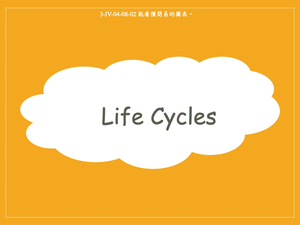 Life Cycles縮圖