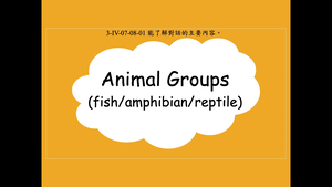 Animal Groups (fish/amphibian/reptile)縮圖