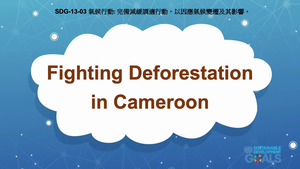 S-Ⅴ-13-03 Climate Action: Fighting Deforestation in Cameroon縮圖